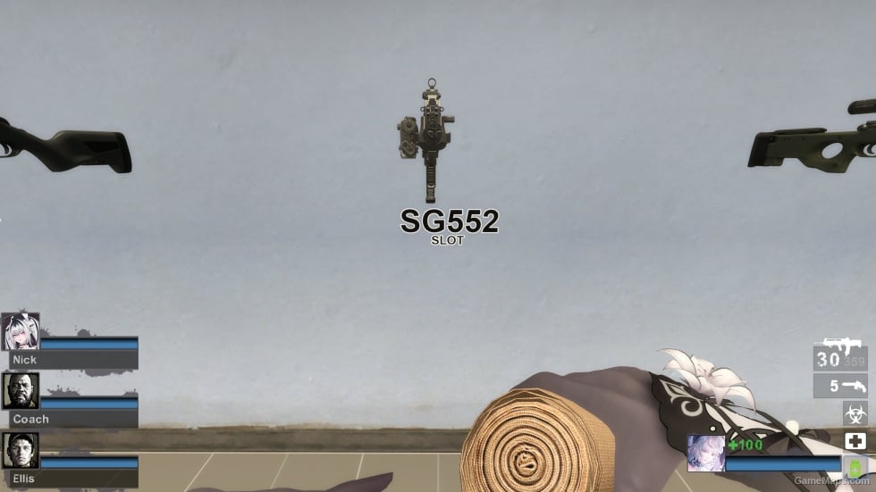 MW22 VHS-2 (SG552) (request)