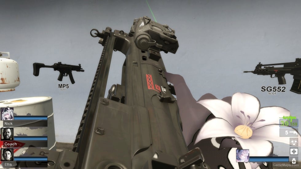 MW22 VHS-2 (SG552) (request)
