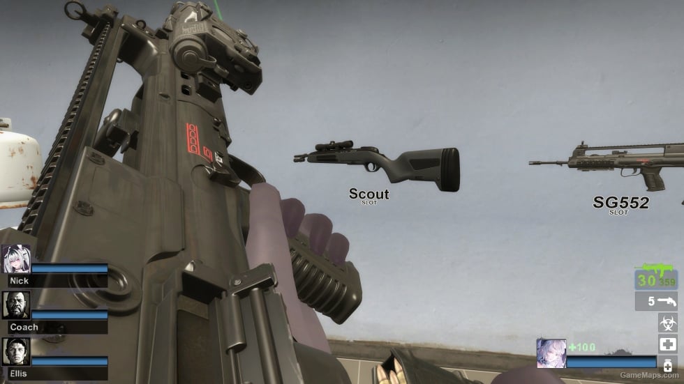 MW22 VHS-2 (SG552) (request)