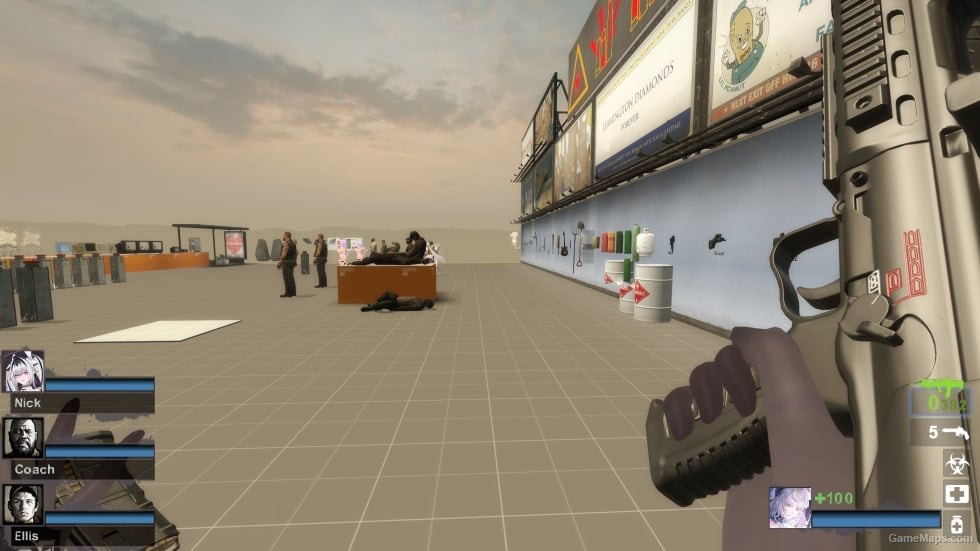 MW22 VHS-2 (SG552) (request)