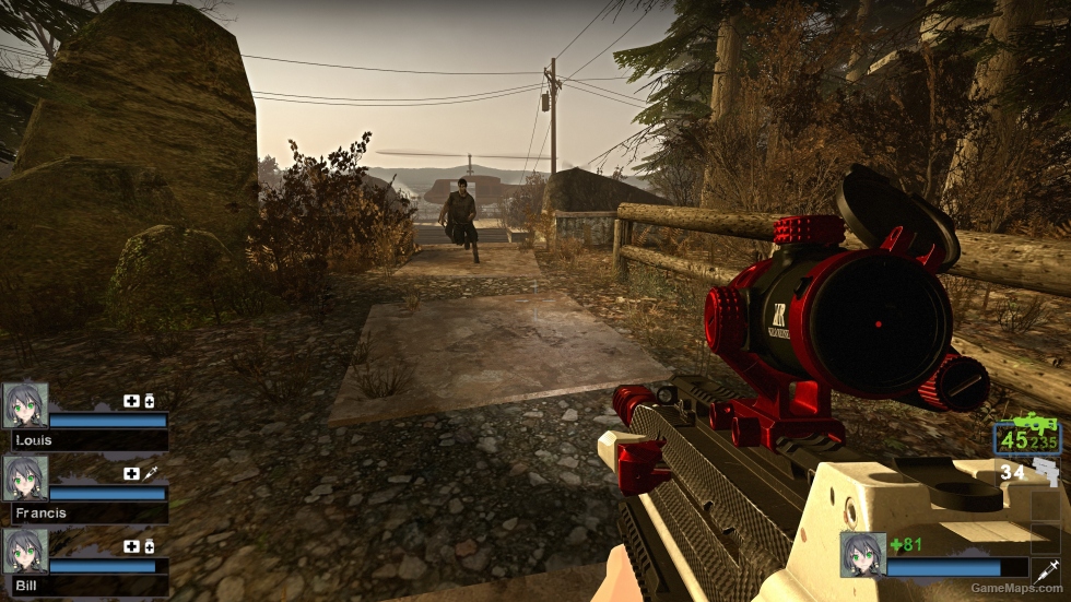 MW23 BP50 torment (M16A2)