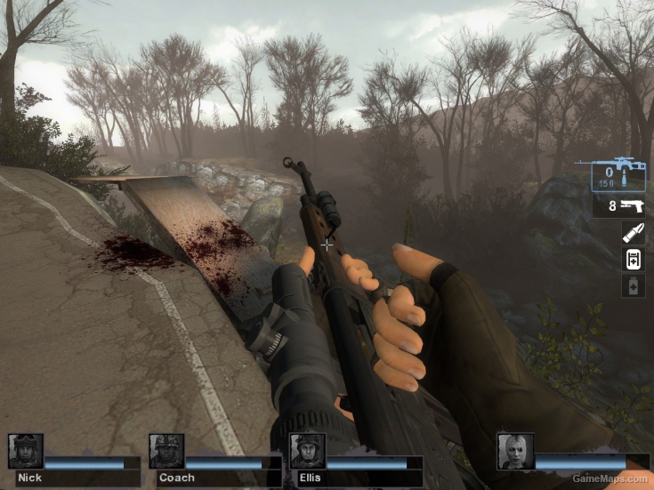 MW2 Dragunov (for Ruger)