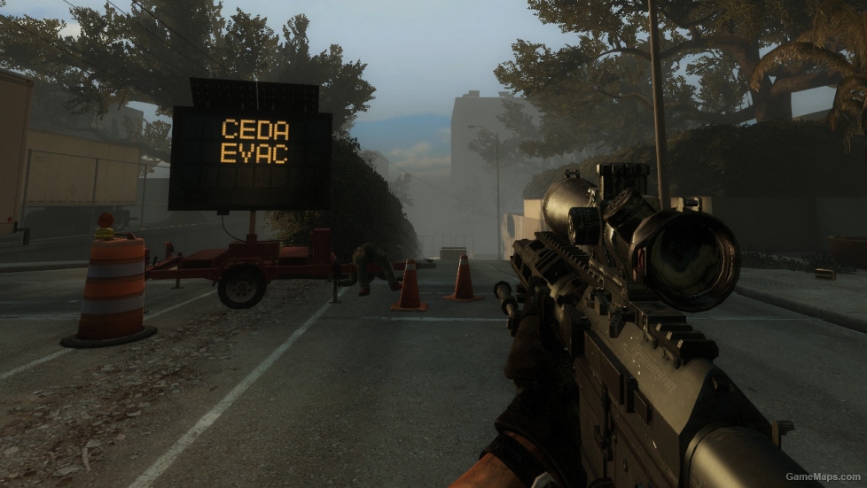 MW3 RSASS