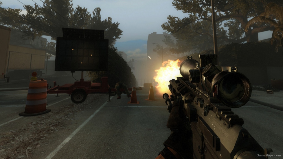 MW3 RSASS