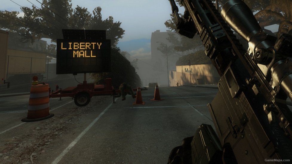 MW3 RSASS