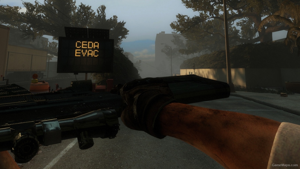 MW3 RSASS