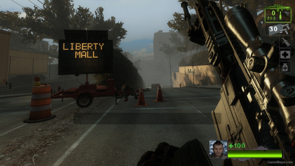 MW3 RSASS