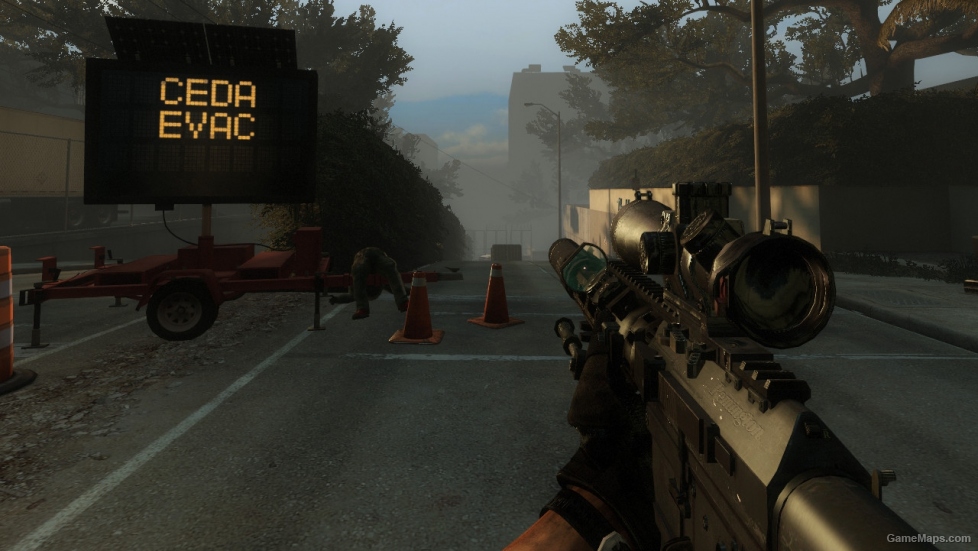 MW3 RSASS Tactical