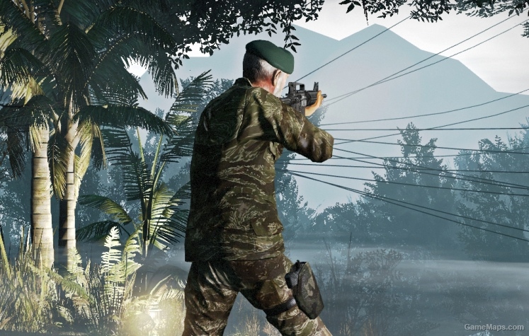 Nam Vet Bill