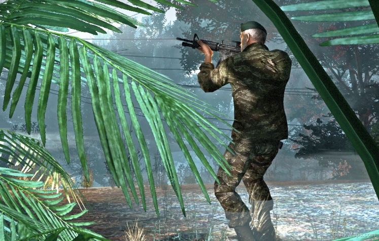 Nam Vet Bill