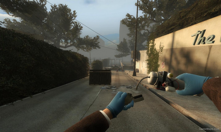 New Molotov and pipebomb animation