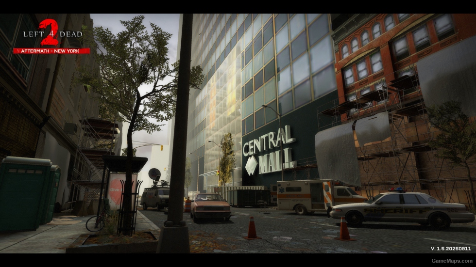 NEW YORK CAMPAIGN