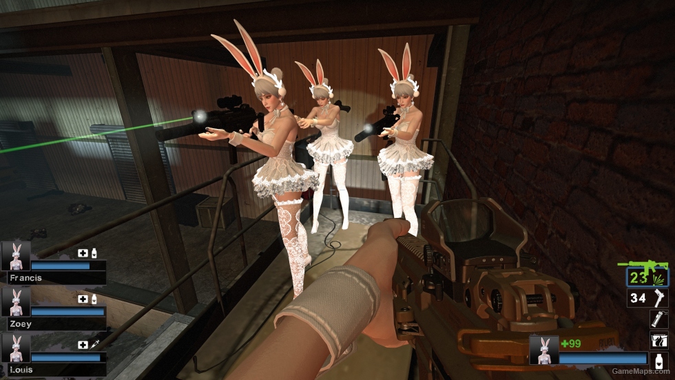 Only AF bunny girl hedwig (request)