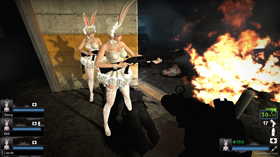 Only AF bunny girl hedwig (request)