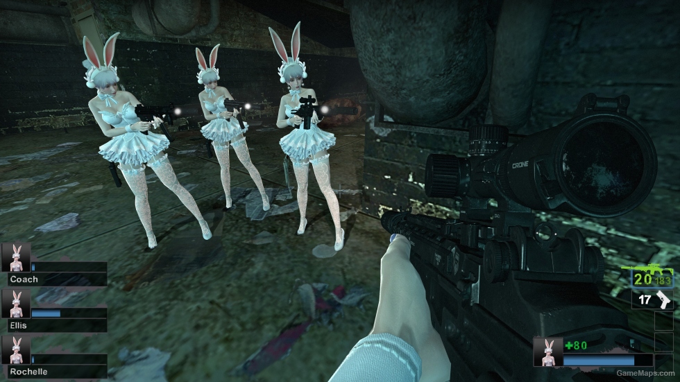 Only AF bunny girl hedwig (request)