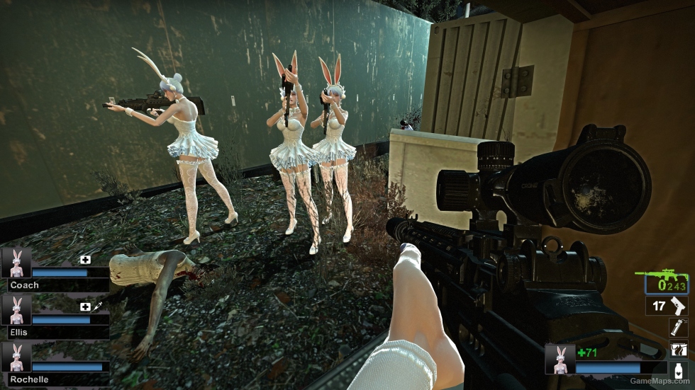 Only AF bunny girl hedwig (request)