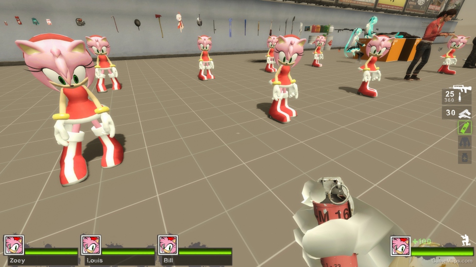 Only Amy Rose Zoey (request)