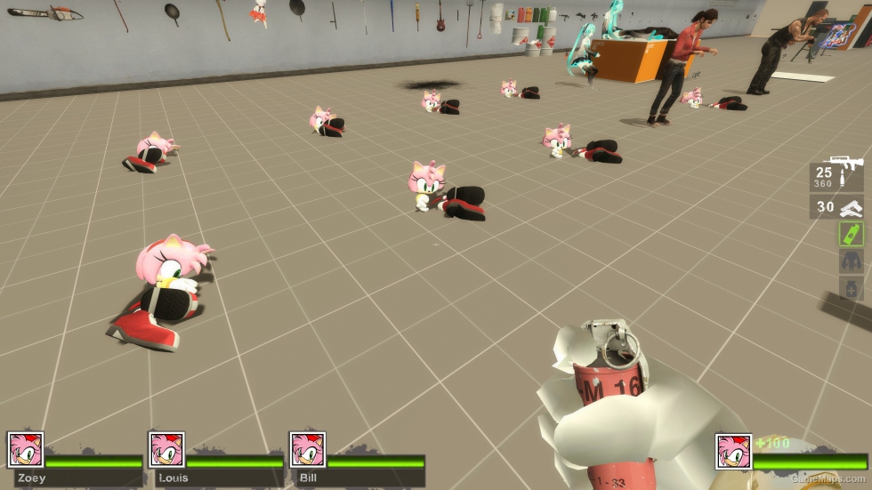 Only Amy Rose Zoey (request)