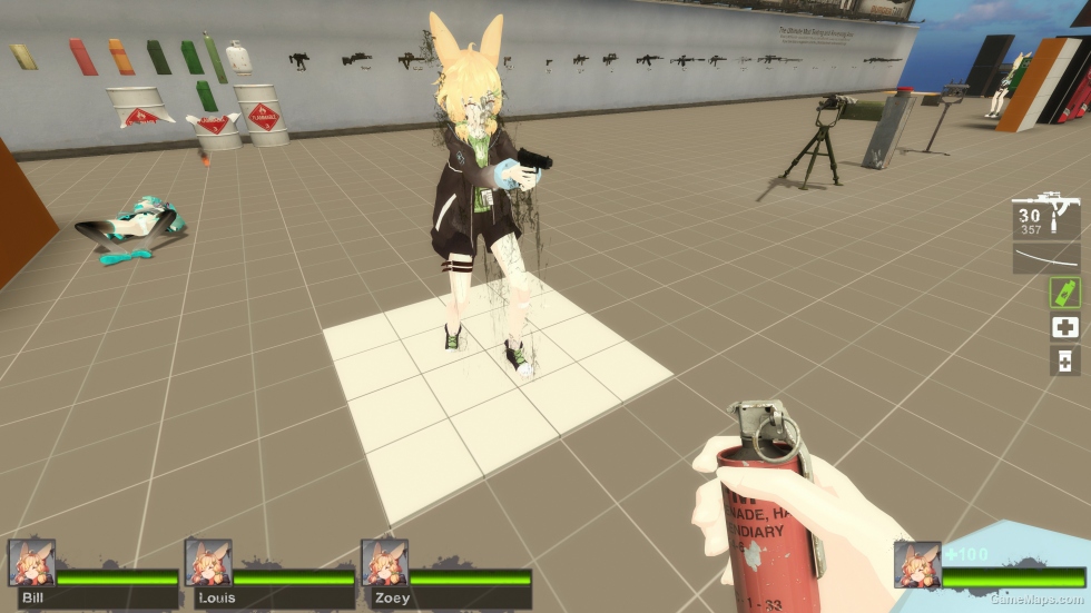 Only Arknights Kroos Zoey (request)