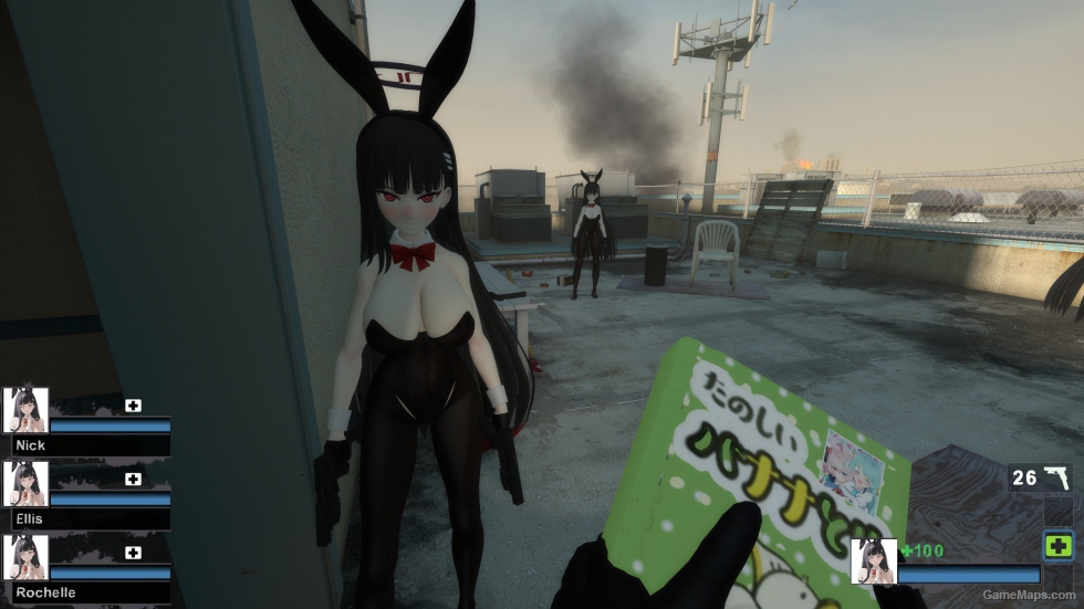 Only BA Bunnygirl rio tsukatsukirio (request)