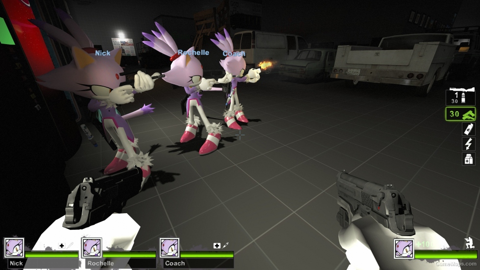 Only Blaze the Cat Zoey (request)