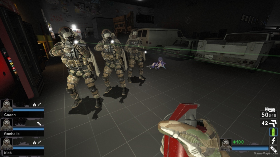 Only CODMW22 GR Team 141 (request)