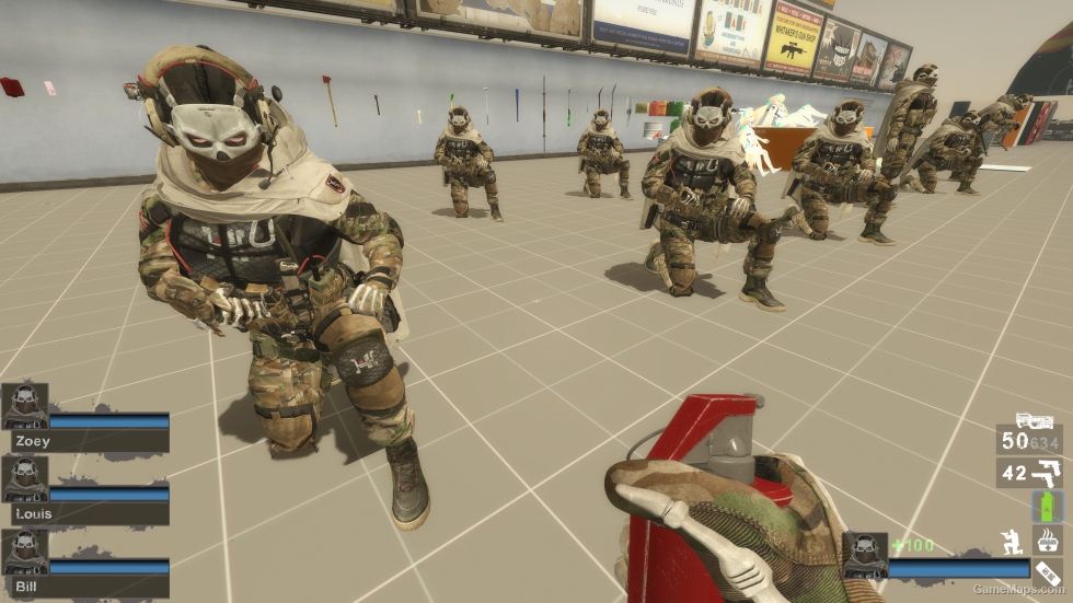 Only CODMW22 GR Team 141 (request)