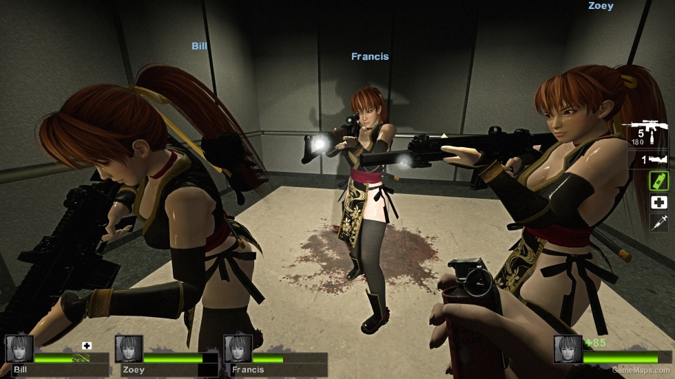 Only DoA5 Kasumi Black and Gold Zoey