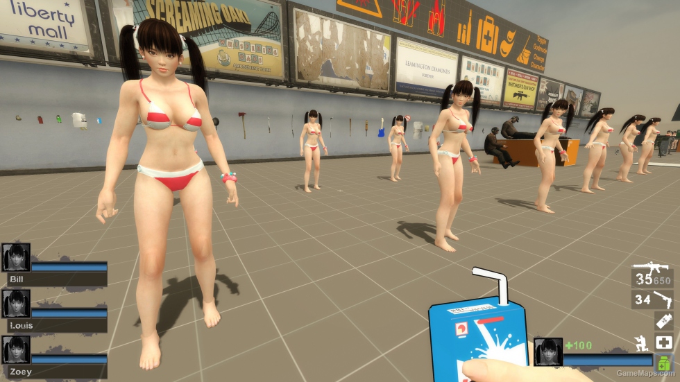 Only DOA5 Leifang FT (request)