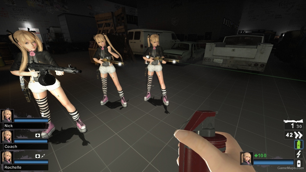 Only DOA5LR Marie Rose C05C Zoey (request)