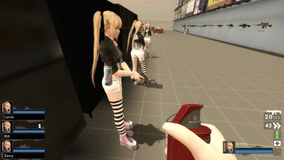 Only DOA5LR Marie Rose C05C Zoey (request)