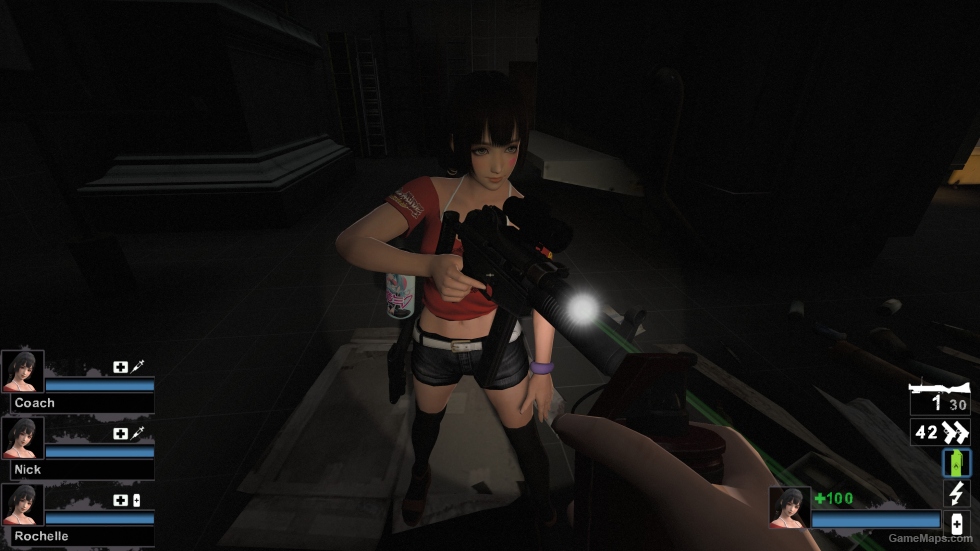 Only DOA5LR Naotora TAC Zoey (request)