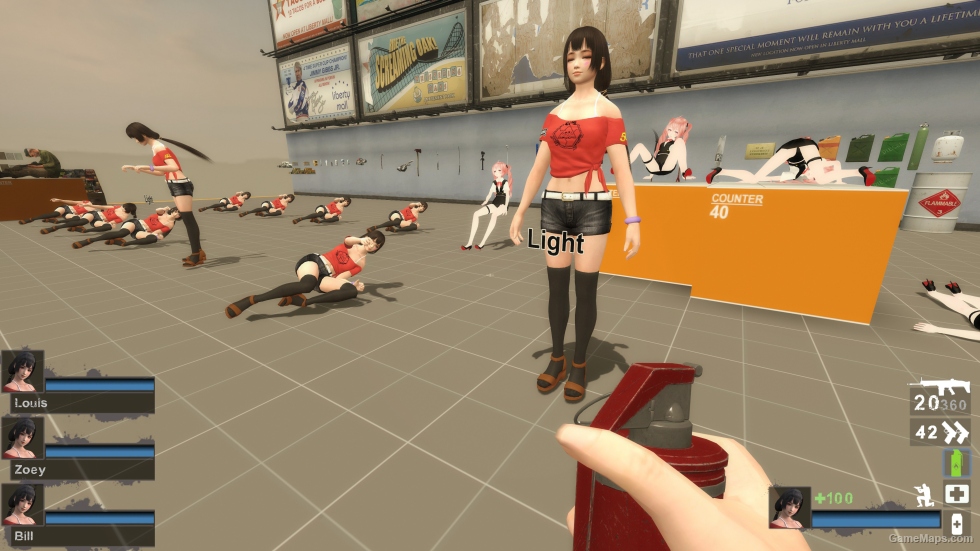 Only DOA5LR Naotora TAC Zoey (request)
