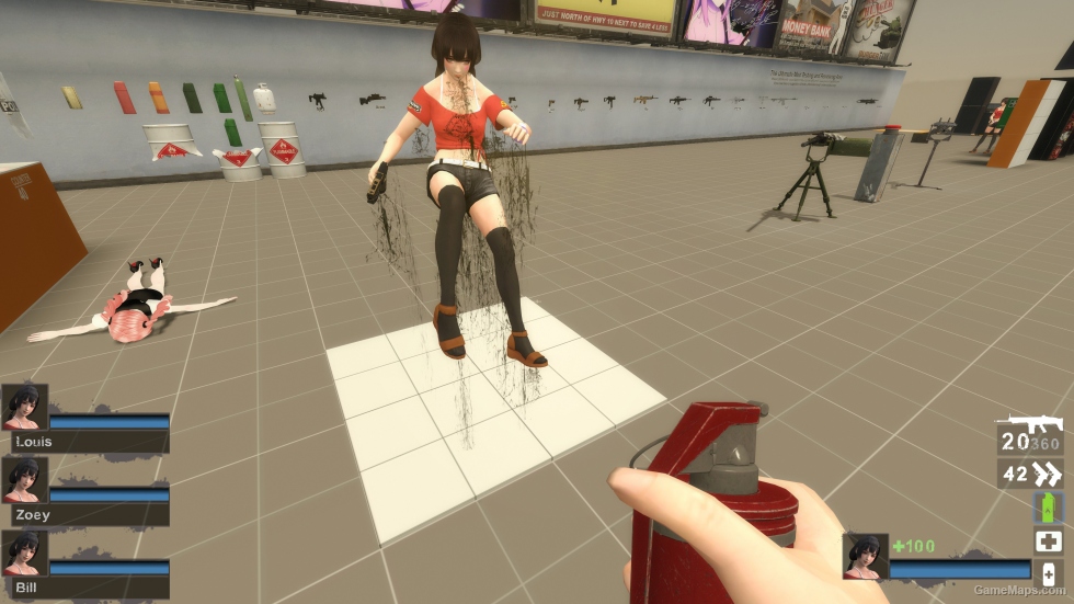 Only DOA5LR Naotora TAC Zoey (request)