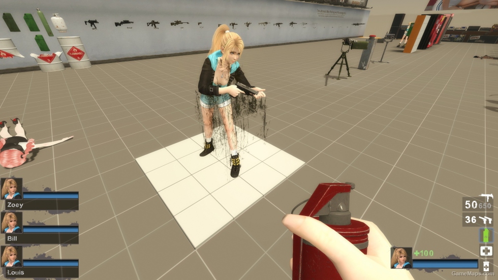 Only DOA5U Marie Rose CB Zoey (request)