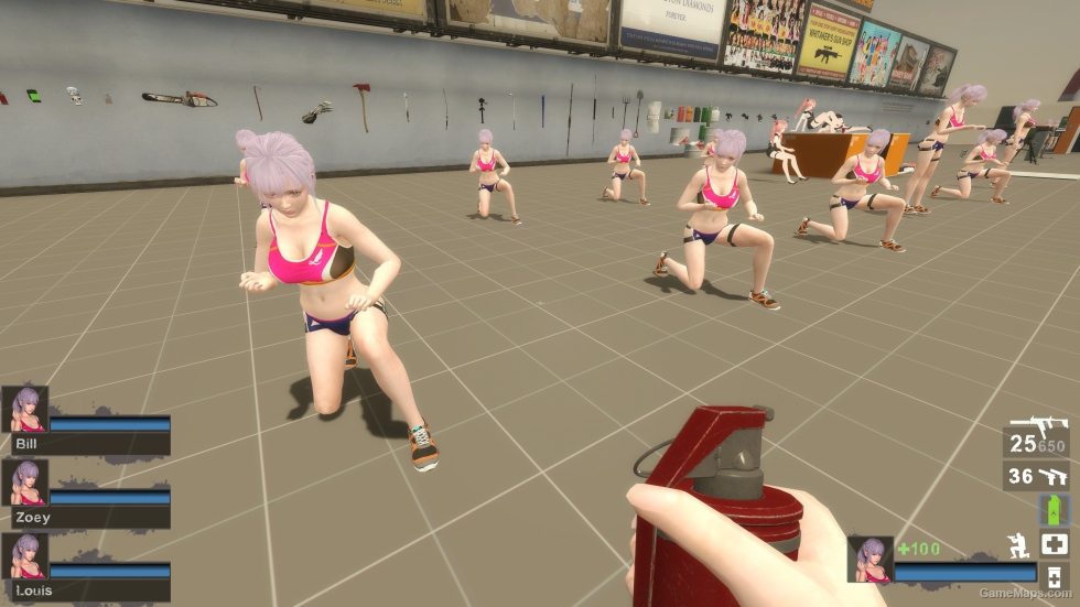 Only DOAXVV Fiona EH Zoey (request)