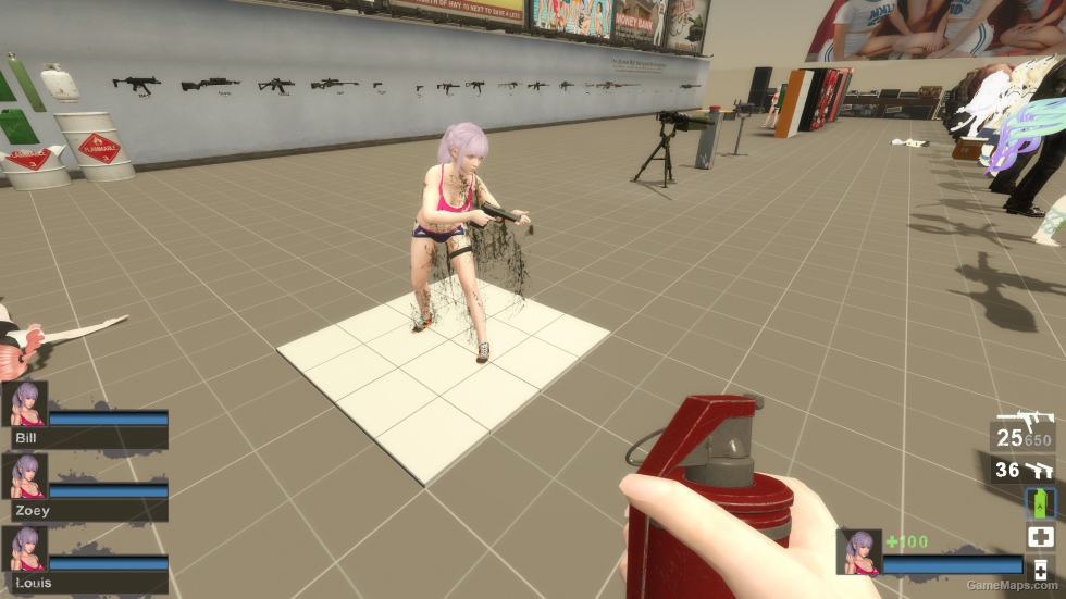 Only DOAXVV Fiona EH Zoey (request)