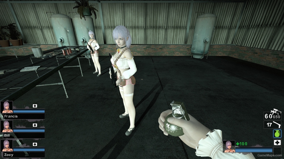 Only DOAXVV fiona frothy maid (request)