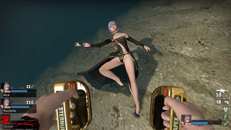 Only DOAXVV Fiona PN Zoey (request)