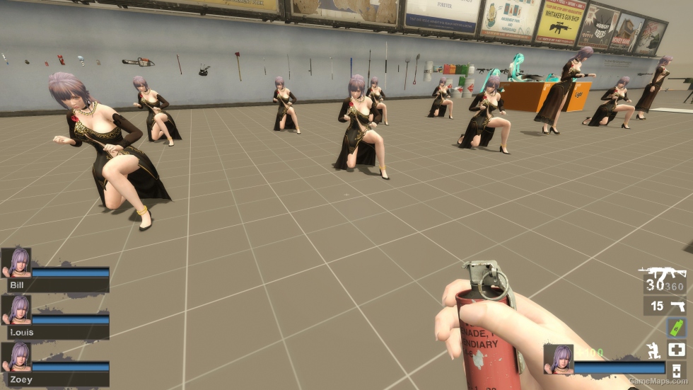 Only DOAXVV Fiona PN Zoey (request)
