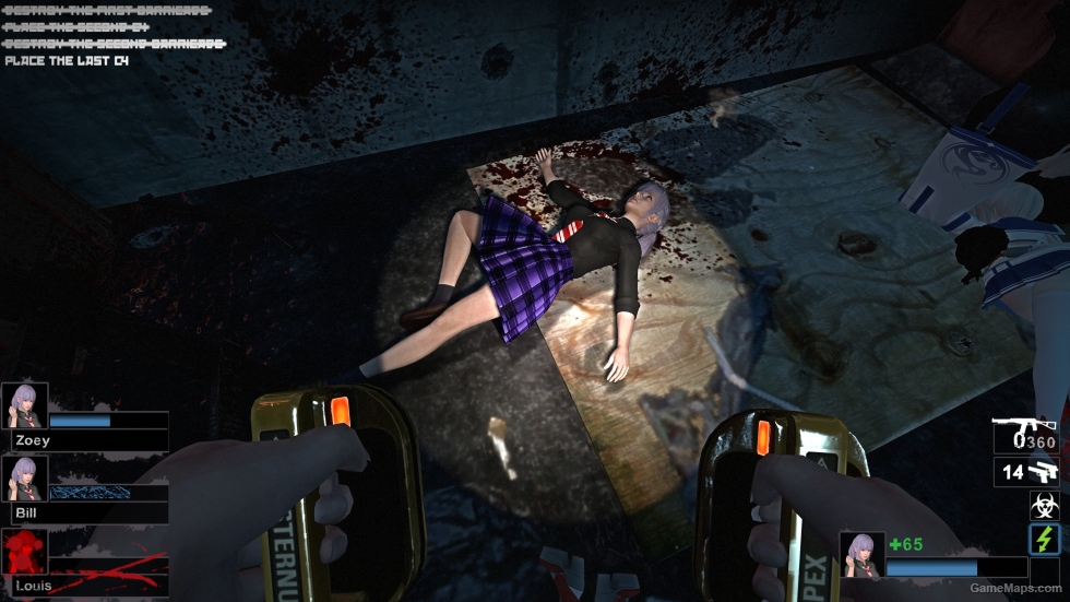 Only DOAXVV Fiona SS Zoey (request)