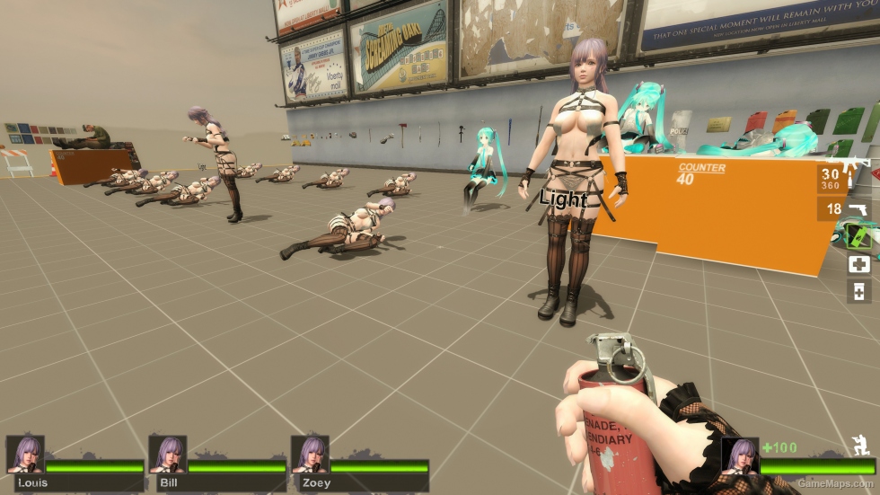 Only DOAXVV Fiona VC Zoey (request)