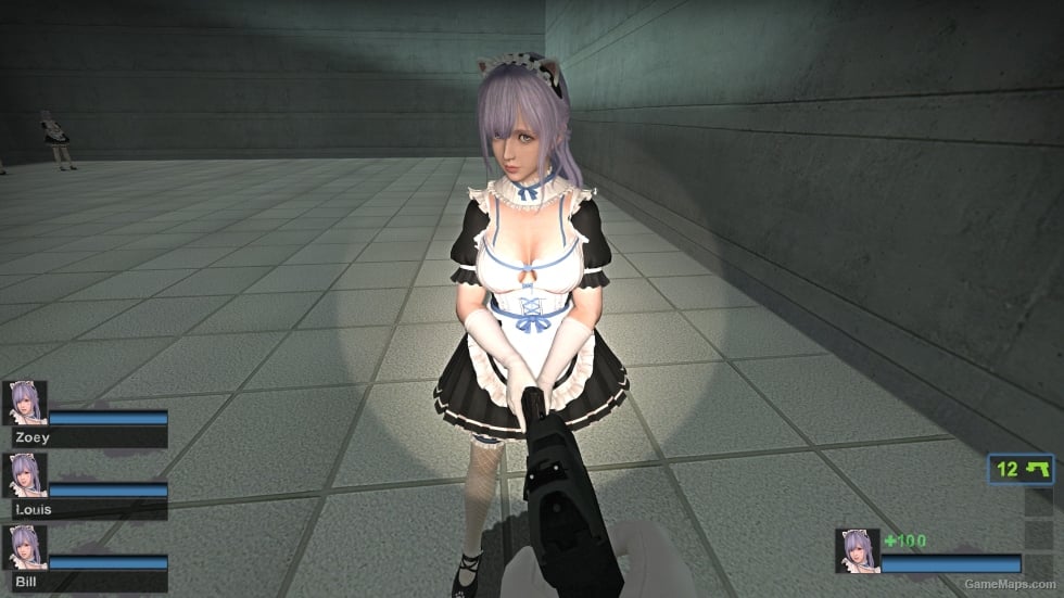 Only DOAXVV Fiona Whimsical Nyan Maid nht (request)