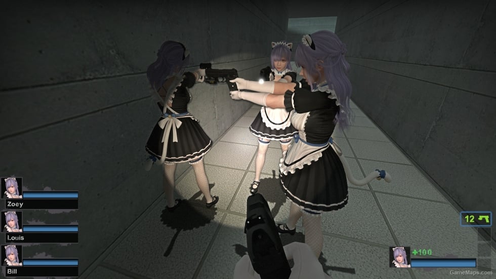 Only DOAXVV Fiona Whimsical Nyan Maid nht (request)