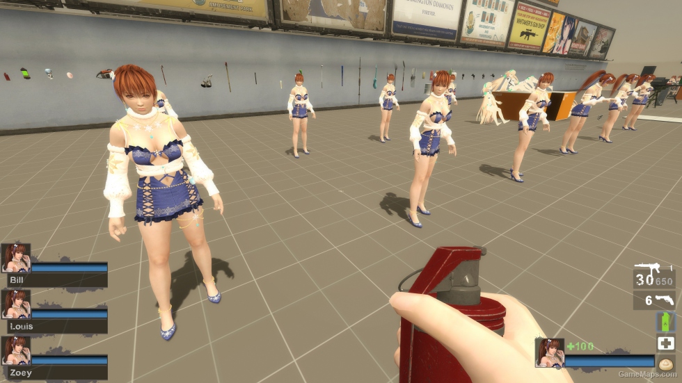 Only DOAXVV Kasumi MN Zoey (request)