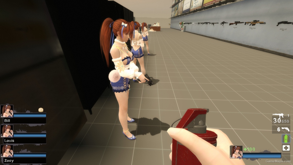 Only DOAXVV Kasumi MN Zoey (request)