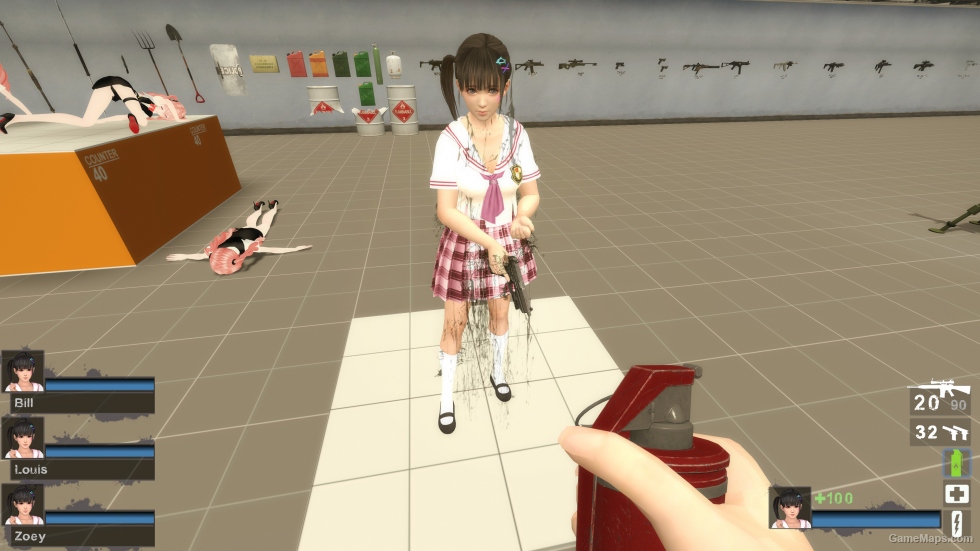 Only DOAXVV Koharu HP Zoey (request)