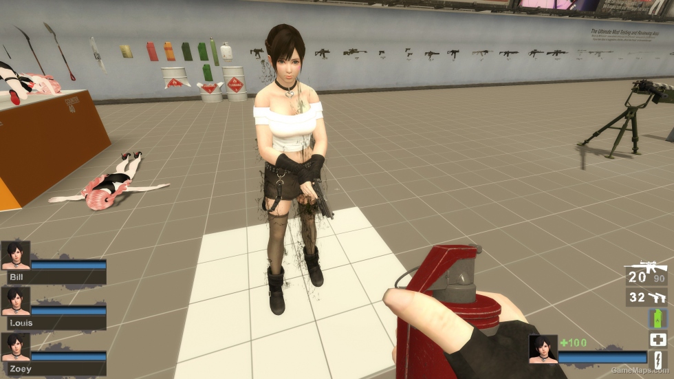Only DOAXVV Kokoro LJ Zoey (request)