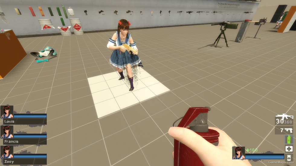 Only DOAXVV Leifang SB Zoey (request)