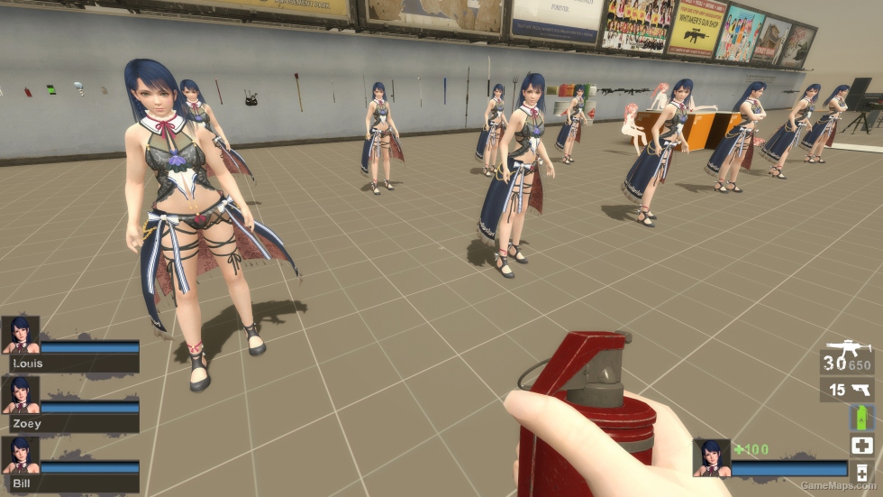 Only DOAXVV Lobelia FM Zoey (request)